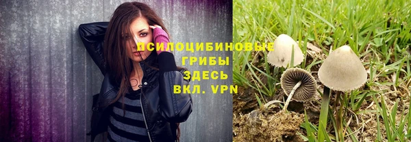 не бодяженный Аркадак